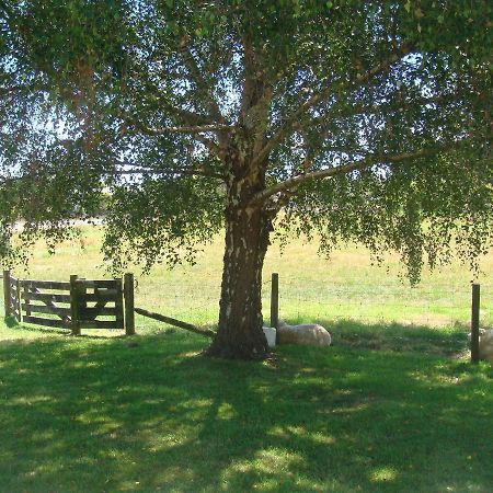Woolshed Bed & Breakfast Takaka Esterno foto