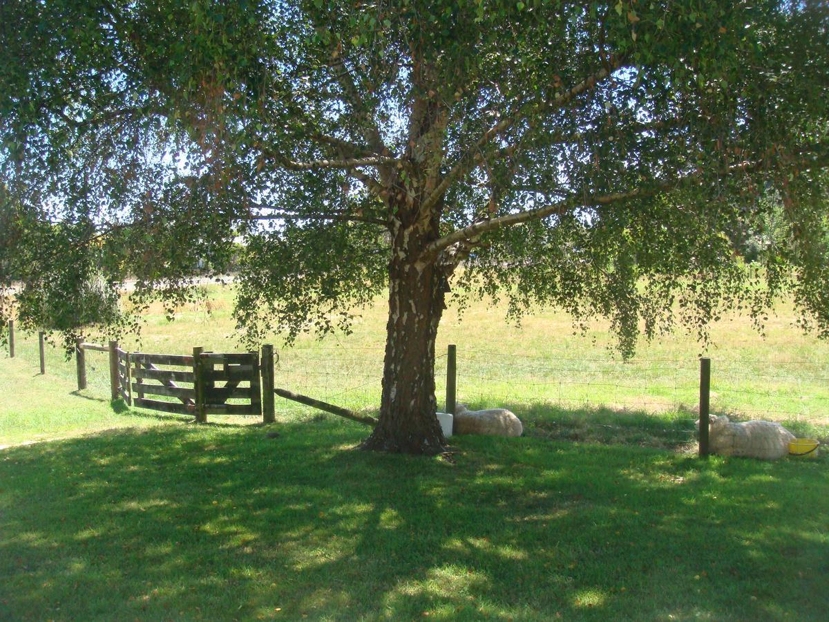 Woolshed Bed & Breakfast Takaka Esterno foto